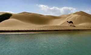 A desert, lake, and camel in the Sistan and Baluchestan Province