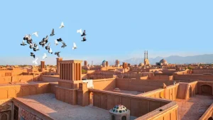 Yazd Old Town Skyline with Pigeons Flying